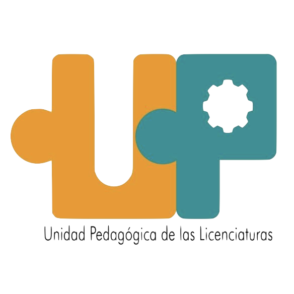 Organizador secundario